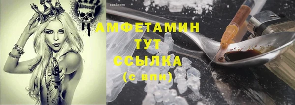 стаф Абинск