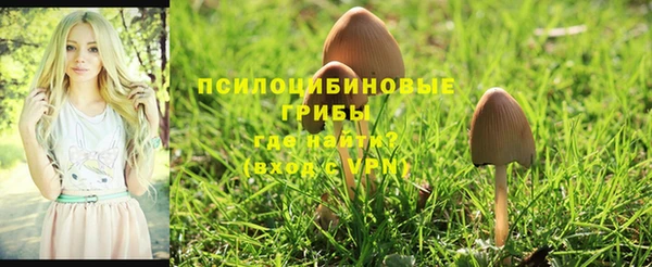 стаф Абинск