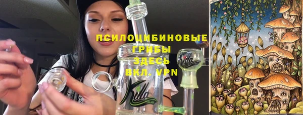 стаф Абинск