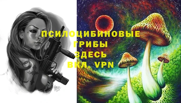стаф Абинск